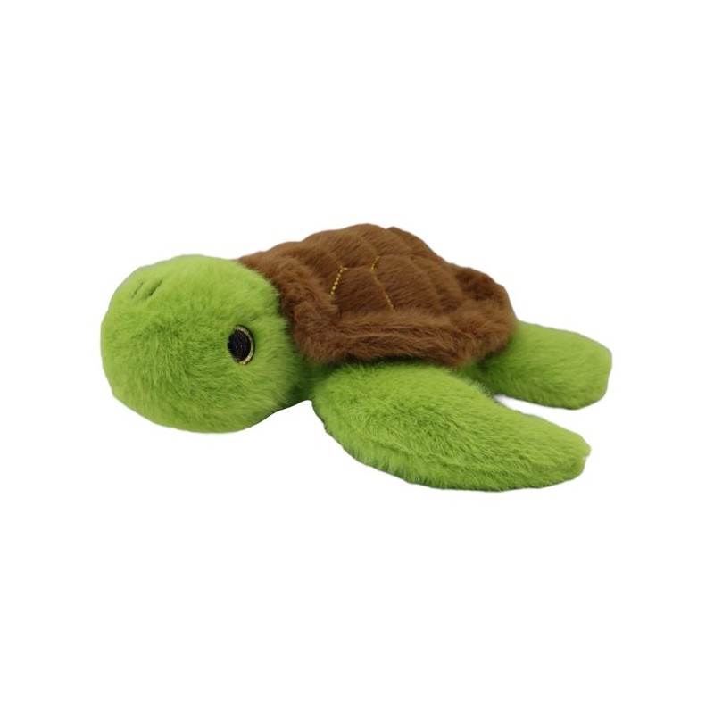 Tortuga Akumal Med