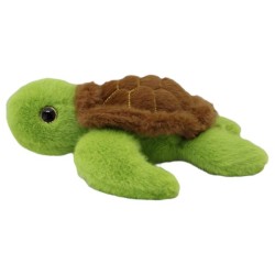 Tortuga Akumal Med