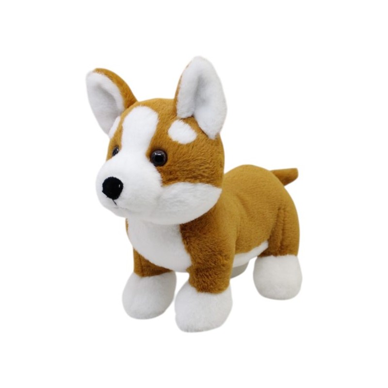 Perro Corgi Gde