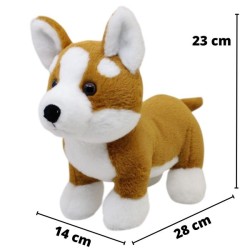 Perro Corgi Gde