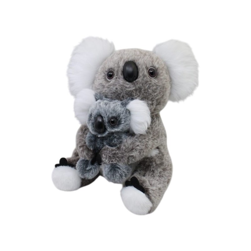Koala Dormingo Gde Con Cría