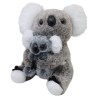 Koala Dormingo Gde Con Cría