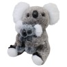 Koala Dormingo Gde Con Cría