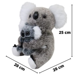 Koala Dormingo Gde Con Cría