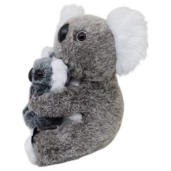 Koala Dormingo Gde Con Cría