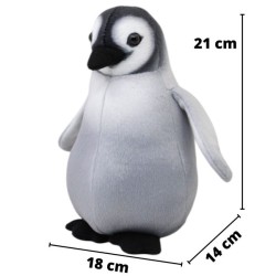 Pingüino Antártida Med