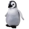 Pingüino Antártida Med