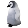 Pingüino Antártida Med