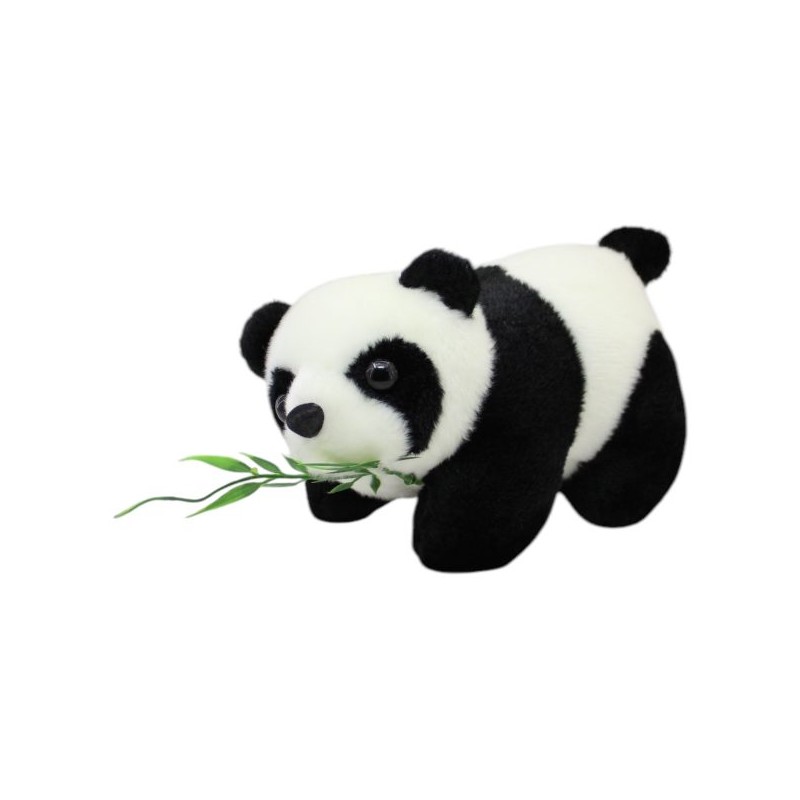 Panda Chapuly Ch
