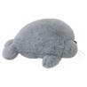 Foca Cachetonia Gris Gde