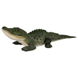 Cocodrilo Amazónico Verde Premium