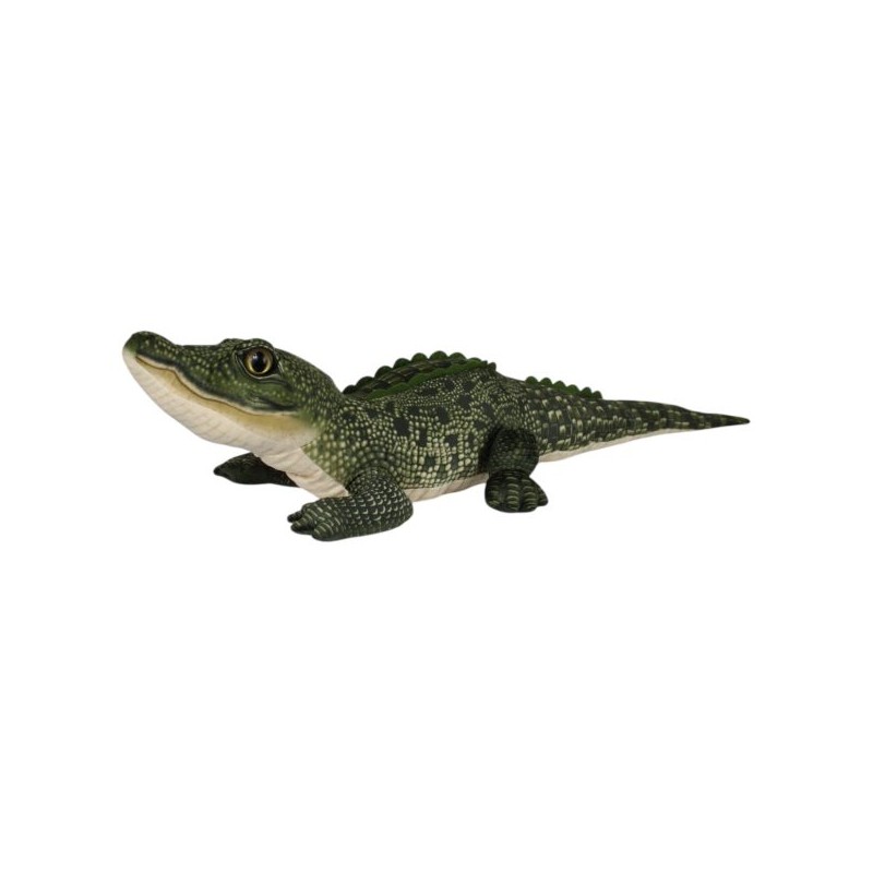 Cocodrilo Amazónico Verde Premium