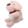 Perro Trompon Med
