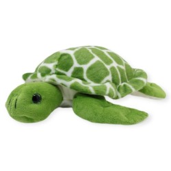 Tortuga Mazunte Med