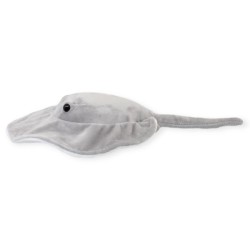 Mantarraya Borabory Med