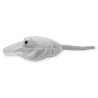 Mantarraya Borabory Med