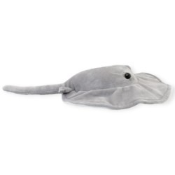 Mantarraya Borabory Med