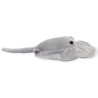 Mantarraya Borabory Med