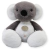 Koala Liptus Gde