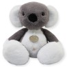 Koala Liptus Gde