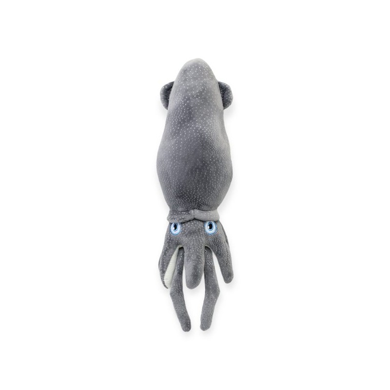 Calamar Calamari Gris Med