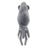 Calamar Calamari Gris Med