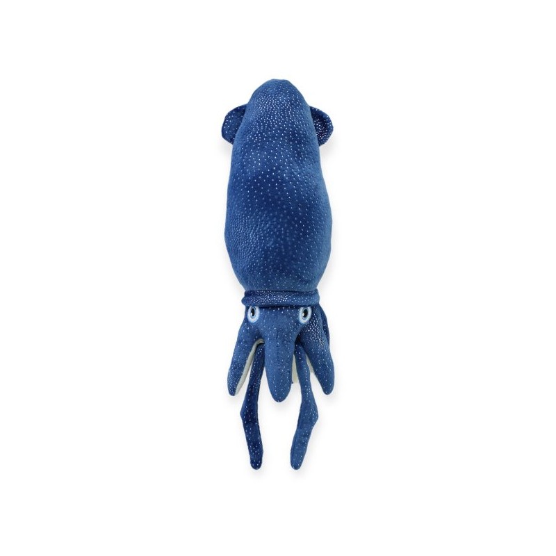 Calamar Calamari Azul Med