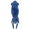 Calamar Calamari Azul Med