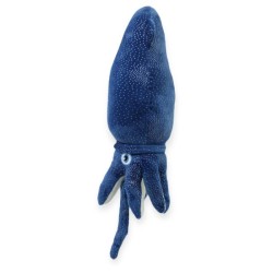 Calamar Calamari Azul Med