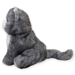 Gato Bongory Gris Gde