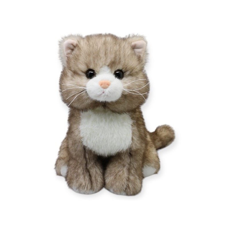 Gato Bongory Café Gde