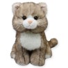 Gato Bongory Café Gde