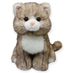 Gato Bongory Café Gde