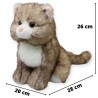 Gato Bongory Café Gde