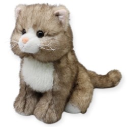 Gato Bongory Café Gde