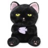 Gato Fishito Negro Med