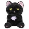 Gato Fishito Negro Med