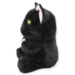 Gato Fishito Negro Med
