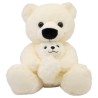 Oso Polar Con Cria Gde