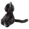 Gato Persa Negro Gde