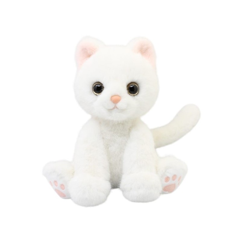 Gato Persa Blanco Gde