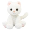 Gato Persa Blanco Gde