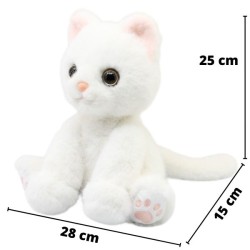 Gato Persa Blanco Gde