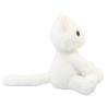 Gato Persa Blanco Gde