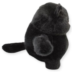 Gato Botonazzo Negro Med