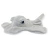 Mantarraya Maldivas Med