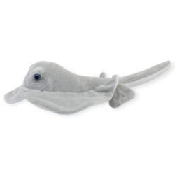 Mantarraya Maldivas Med