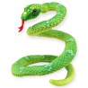 Vibora Poison Verde Med