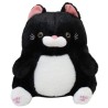 Gato Nero Gde Con Sonido