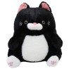 Gato Nero Gde Con Sonido